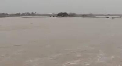  رودخانه دجله در عراق پس از بارش باران | جهان نیوز