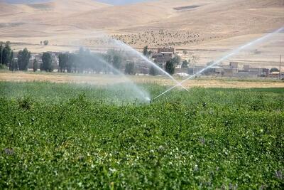 آیا تجربه ازبکستان و قزاقستان در مدرن‌سازی آبیاری برای ایران قابل استفاده است؟