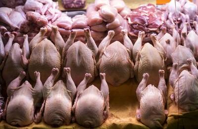  کاهش اندک قیمت‌ها در بازار؛ سینه و ران مرغ کیلویی چند شد؟