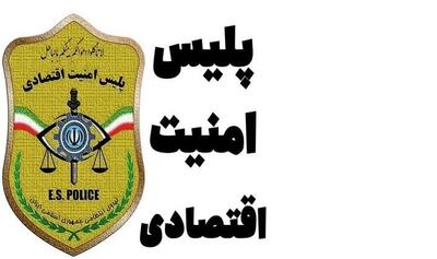  پلیس خبر داد: سوءاستفاده عجیب مسئولان یک شرکت حمل‌ونقل از سهمیه سوخت؛ ۸۱ درصد بارنامه‌ها جعلی بود!