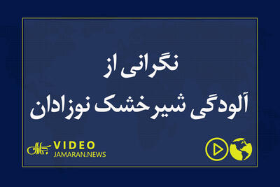  نگرانی از آلودگی شیرخشک نوزادان