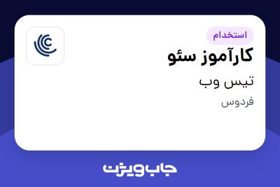  استخدام کارآموز سئو در تیس وب
