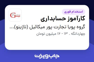  استخدام کارآموز حسابداری در گروه پویا تجارت پور میکائیل (ناژینو)(کارخانه)