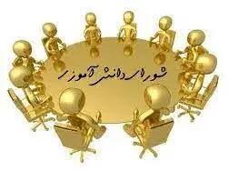  اعلام پیروزی کاندیدای اول شورای دانش‌آموزی با شعار «یاشاسین ترک ملتی» /ویدئو