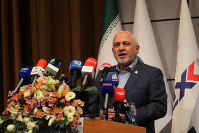  روایت تازه ظریف از علت مخالفت اسرائیل با برجام/ من نمی‌گویم هولوکاست دروغ است اما ...