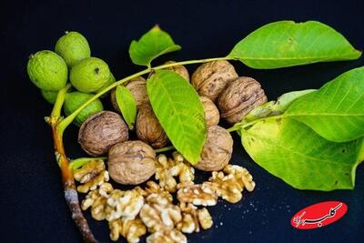  ۶ غذای کلیدی برای جلوگیری از مه مغزی، از نگاه متخصصان تغذیه - کلبه سرگرمی