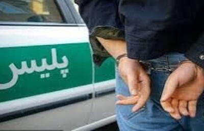  سارق کابل برق در بوشهر دستگیر شد