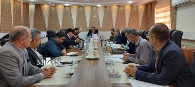  حل تعارض اراضی ۴ پلاک در تنگستان پس از یک دهه/ تثبیت مالکیت دولت و مردم