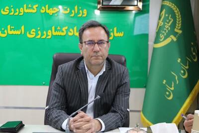  خسارت ۱۱ همتی خشکسالی به بخش کشاورزی لرستان - پارس فوتبال