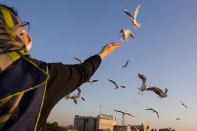  دوستی خاله‌خرسه با پرندگان شهر