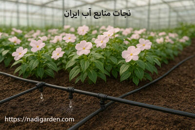 جایگزینی سیستم های فرسوده با آبیاری قطره ای؛ مسیری برای نجات منابع آب ایران - روزنامه رسالت