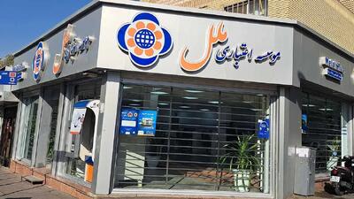  بانک مرکزی هیئت مدیره موسسه ملل را عزل کرد