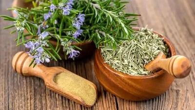  راز گیاه اینستاگرامی برای از بین بردن جای زخم فاش شد!