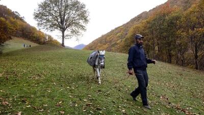  تماشای طبیعت پاییزی روستای نمنق؛ سفری به زیبایی‌ های خفته / عکس