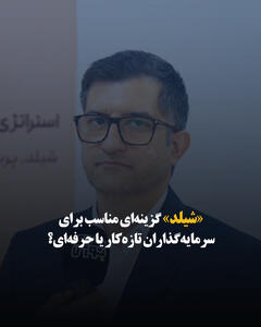  «شیلد» گزینه‌ای مناسب برای سرمایه‌گذاران تازه‌کار یا حرفه‌ای؟