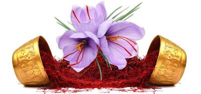  ۵۹۰ کیلوگرم زعفران نگین دادوستد شد