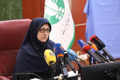  معاون سازمان حفاظت محیط زیست: «تغییر اقلیم» یک مساله فانتزی نیست/ در بیش از ۲۰ استان هنوز هیچ بارشی اتفاق نیفتاده است