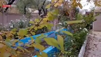  بارش باران در روستای مرق شهرستان کاشان را ببینید + ویدیو
