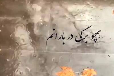  آواز اصیل؛ استاد افتخاری انگار این آهنگ رو مخصوص روزای برگ ریزون پاییزی خونده