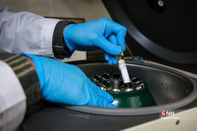  راه‌اندازی پایگاه ملی داده‌های شناختی با حمایت ستاد توسعه علوم شناختی