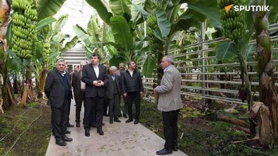  بازدید معاون دیپلماسی اقتصادی وزارت امور خارجه ایران از منطقه آزاد ارس