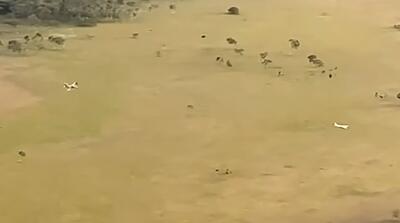  لحظات انهدام هواپیمای متجاوز توسط اف-16 ونزوئلا