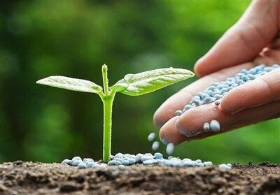  توزیع 4800 تن کود شیمیایی در البرز - تسنیم