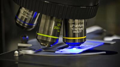  میکروسکوپ دونوره حرکات میکرو و نانو را هم‌زمان ثبت می کند