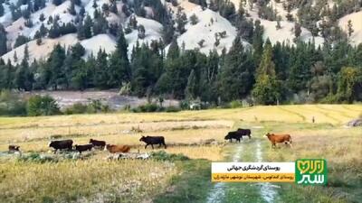  نگین سبز مازندران در فهرست جهانی گردشگری + فیلم