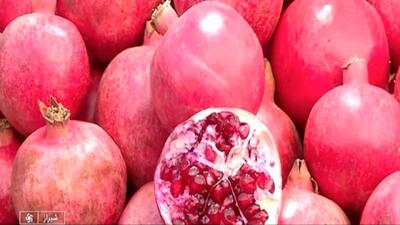  جشنواره انار و خرمالو در شیراز + فیلم