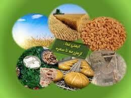  طرح «از مزرعه تا سفره» در شیراز وارد مرحله بازنگری و اصلاح شد