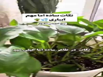  نکات ساده اما مهم آبیاری گیاهان