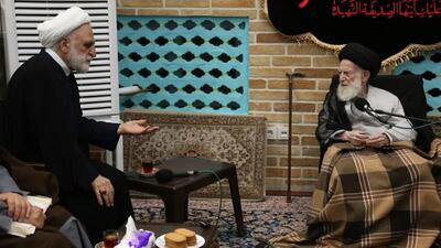  آیت‌الله شبیری زنجانی: فقاهت بدون فطانت برای قضاوت کافی نیست
