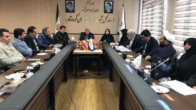  معاون استاندار کردستان: اجرای قانون جوانی جمعیت بدون اصلاحات ممکن نیست
