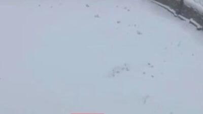  بارش برف مرز پیرانشهر را کاملا سفیدپوش کرد