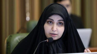  تذکر دو عضو شورای شهر برای توهین افرادی به فرزند شهید سلیمانی