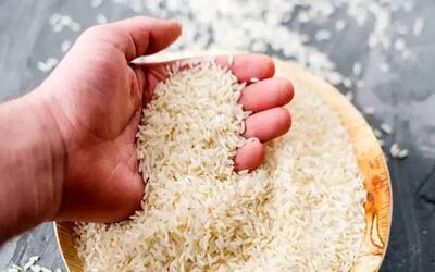  دو مدل جدید برنج هندی وارد بازار شد؛ کاهش چشمگیر قیمت برای مصرف‌کننده