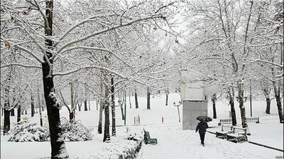  سفیدپوش شدن کامل مرز پیرانشهر پس از بارش برف (فیلم)