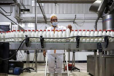  نوبت به گرانی محصولات لبنی رسید