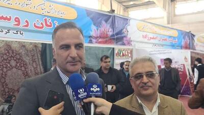  تولید سالانه ۳۵۰ تن نگین زعفران در کشور