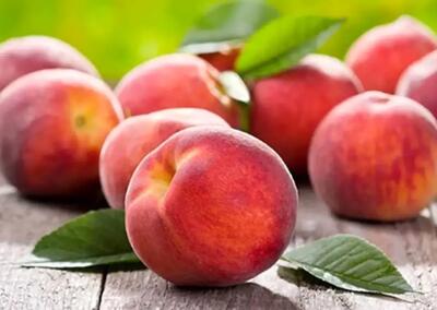  هلو: خواص، مضرات و طبع میوه تابستانی
