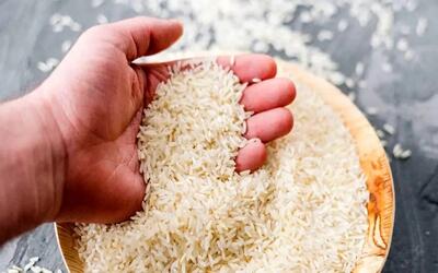  ۲ مدل برنج هندی با قیمت‌های ۴۹.۸۰۰ و ۵۹.۸۰۰ در بنکداری‌ها عرضه می‌شود/ برنج پاکستانی هم قرار است با قیمت ۶۶.۳۰۰ به دست مصرف‌کننده نهایی برسد