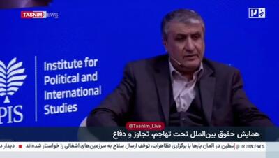  اسلامی: دقت حمله اسرائیل نشان می‌دهد اطلاعاتی که در اختیار آژانس بین‌المللی انرژی اتمی بوده، مورد سوءاستفاده قرار گرفت