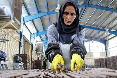  مالیات پنهان بازار کار برای زنان/ راهکار‌های اقتصاددانان برای حل چالش آزار جنسی زنان در محیط کار چیست؟ | اقتصاد24