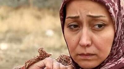  جشن تولد باشکوه پارمیدا، دختر آرزو افشار؛ با تم جذاب گاو+ عکس