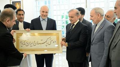  گزارش از دو سفر رئیس و نایب‌رئیس مجلس به پاکستان