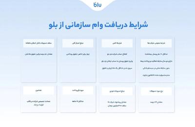  راهنمای کامل دریافت وام سازمانی از بلو
