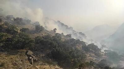  آتش‌سوزی در منطقه جنگلی «پی کمر» آمل مهار شد