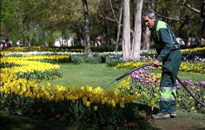  پل طبیعت تهران و کمر‌های خمیده کارگران/ پیمانکاران فقط به دنبال سود اقتصادی هستند