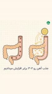  چرا کنار عدسی باید آبلیمو استفاده کنیم؟ +فیلم